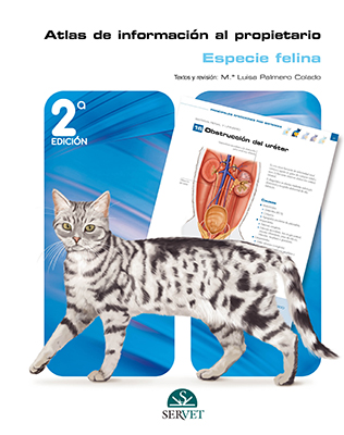 Atlas de Información al Propietario: especie felina cover